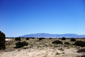 Unit 5 Block 5 Lot 182